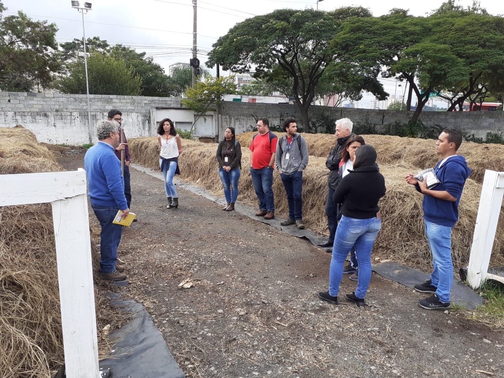 Imagem mostra visita monitorada às leiras de compostagem no pátio da Lapa